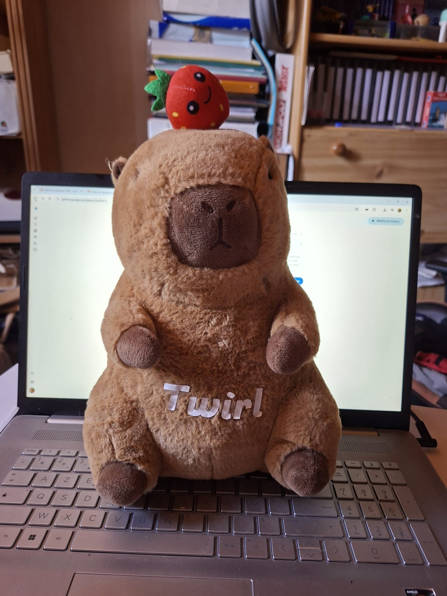 La peluche à réparer
